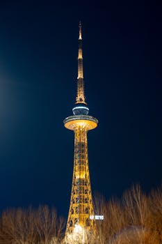 投资之痛:深陷信息披露迷雾,如何追回损失? 股票财经