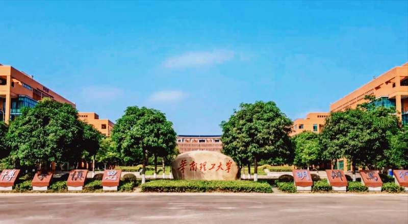  [高校战略评估报告] + [查阅官方公开数据复盘] 教育招生