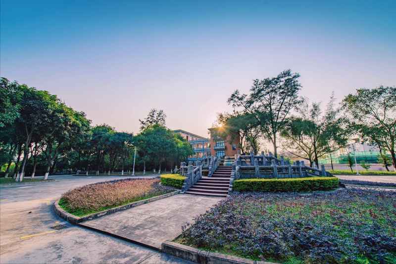  [高校战略评估报告] + [查阅官方公开数据复盘] 教育招生