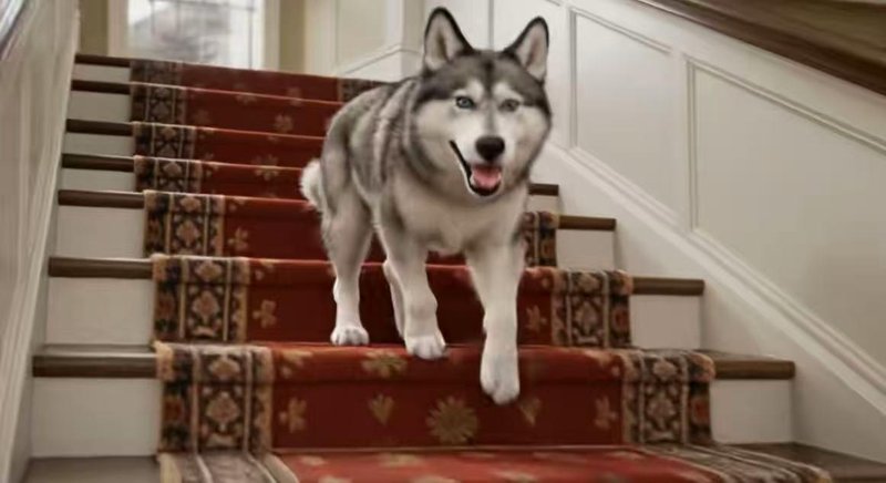 从被忽视到屠榜：国产AI视频模型HappyHorse逆袭背后的故事