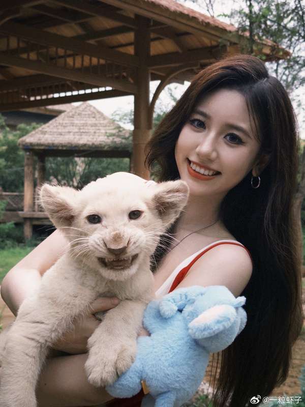 从“蓝衣女神”到光头战士:千万网红淋巴瘤诊疗全记录与健康警示 健康养生