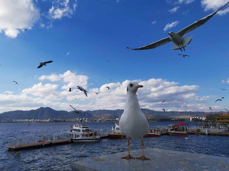  政策红利与技术布局：超长雪假背后的消费市场重构逻辑 新闻