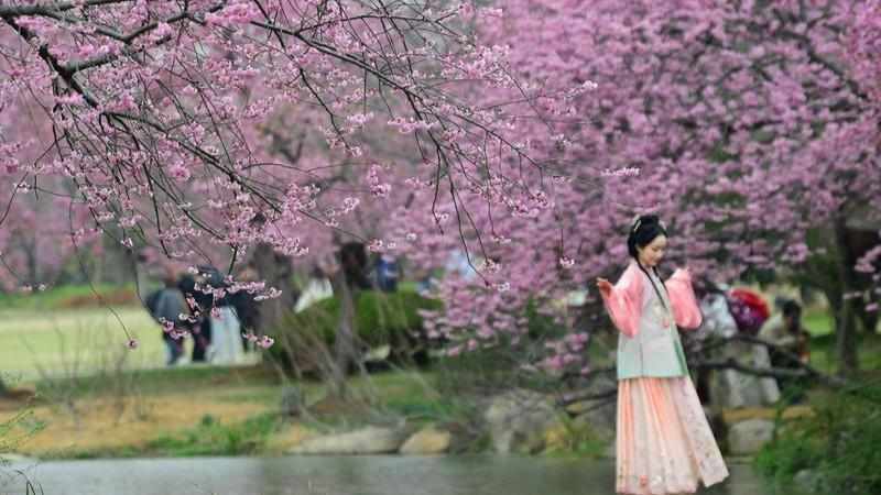  政策红利与技术布局：超长雪假背后的消费市场重构逻辑 新闻