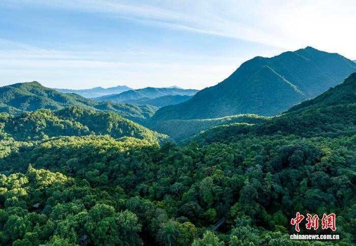  热带雨林的生态叙事：海南苗族女儿的科研自觉与价值重构 文化旅游