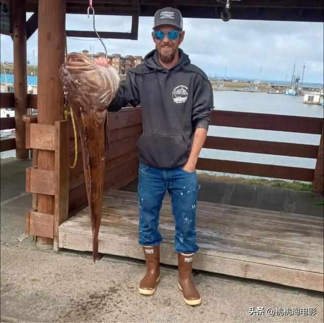  冰海之下的四分钟：一位25岁捕蟹人如何被低温与物理规律共同终结 新闻