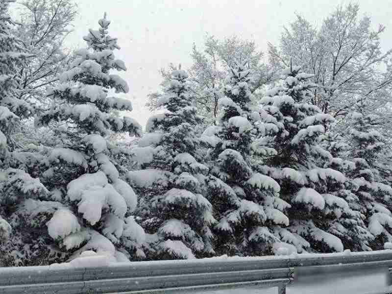  从系统论视角解析：土匪越冬管理的生存算法 文化旅游