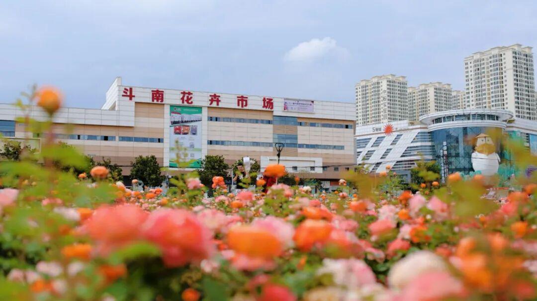  一键直达背后的交旅融合：昆明旅游直通车的技术架构与运营逻辑 文化旅游