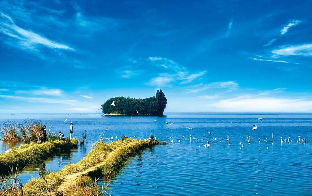  一键直达背后的交旅融合：昆明旅游直通车的技术架构与运营逻辑 文化旅游