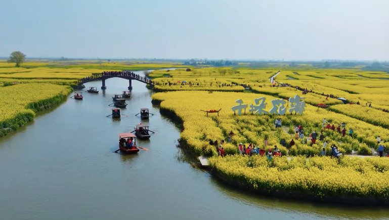  【深度拆解】当文旅融合遇上“花经济”：江苏赏花游的产业链创新方法论 文化旅游