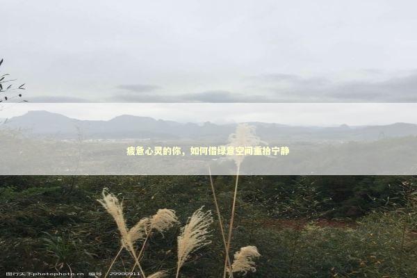 疲惫心灵的你,如何借绿意空间重拾宁静 疲惫心灵的你,如何借绿意空间重拾宁静 新闻