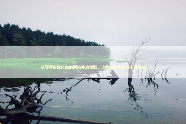 从零开始优化你的网络冲浪体验,这些官方资源你不可不知 从零开始优化你的网络冲浪体验,这些官方资源你不可不知 IT技术