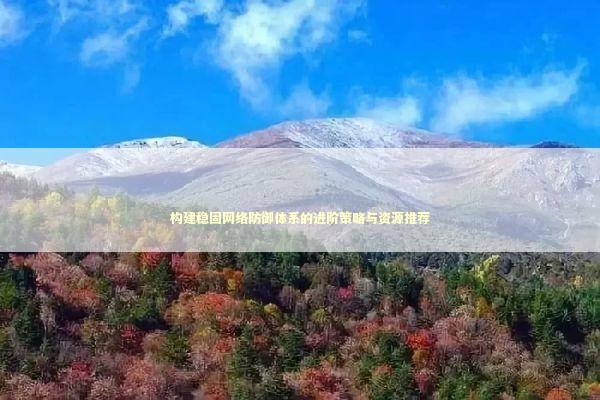 构建稳固网络防御体系的进阶策略与资源推荐