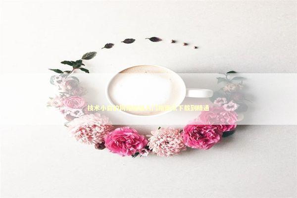 技术小白的网络加速入门指南从下载到精通 IT技术